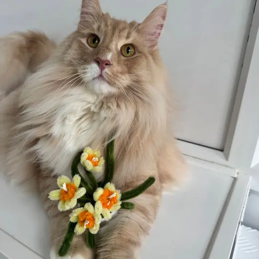 Ginger cat with a knitted flower posy